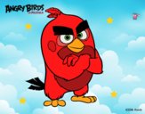 Red de Angry Birds