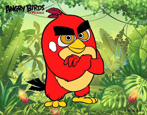 Red de Angry Birds