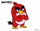 Red de Angry Birds