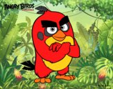 Red de Angry Birds