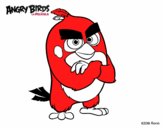 Red de Angry Birds