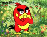 Red de Angry Birds