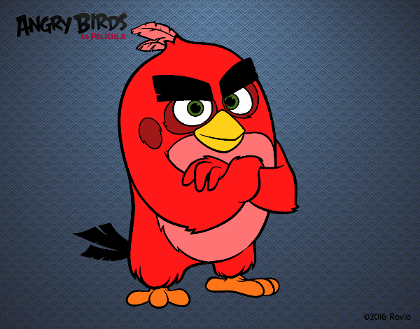 Red de Angry Birds