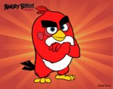 Red de Angry Birds