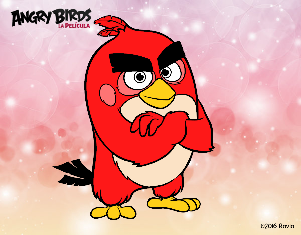 Red de Angry Birds