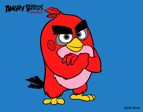 Red de Angry Birds