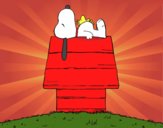 Snoopy durmiendo