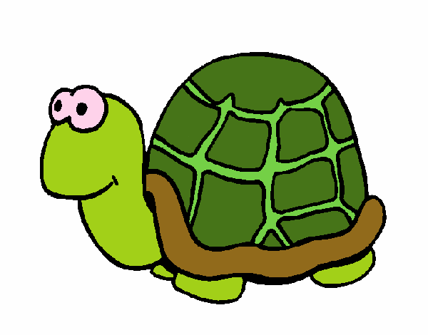 Dibujo de una tortuga pintado por en Dibujos.net el día 17-05-16 a las ...