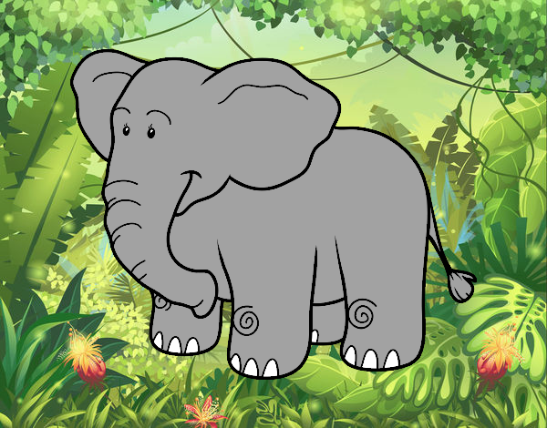 elefante africano