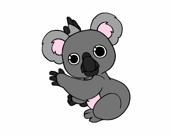 Un Koala