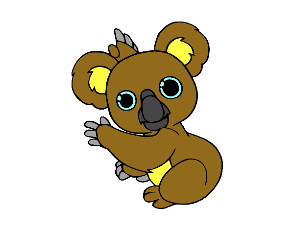 Un Koala