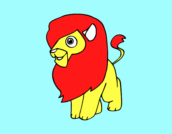 Un león