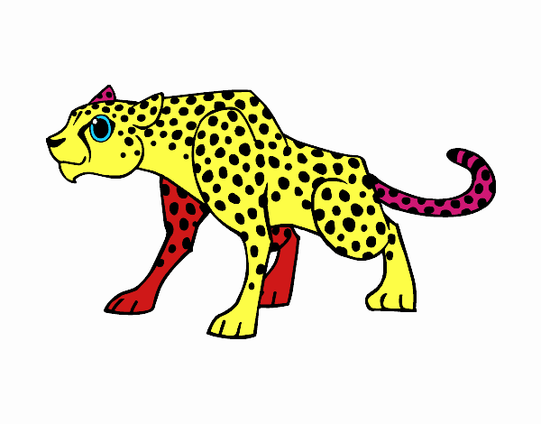 Un leopardo