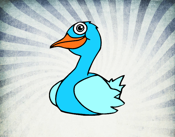 Un pato