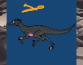 Velociraptor