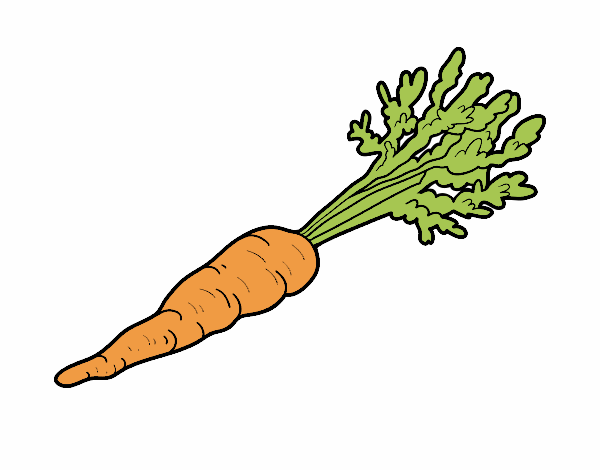 la zanahoria de la karen pa vo