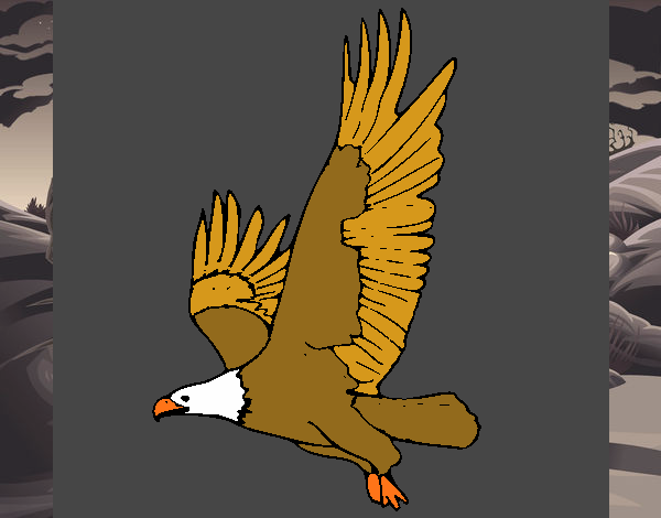 Águila volando