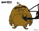 Bomb de Angry Birds