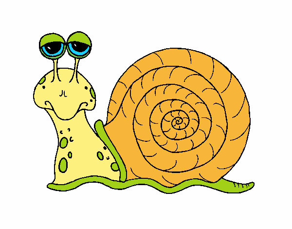 Caracol 3