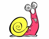 Caracol feliz