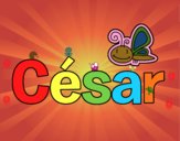 César