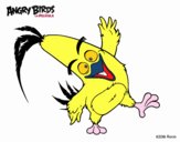 Chuck de Angry Birds