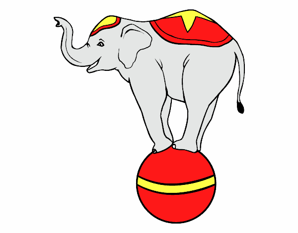 Elefante equilibrista