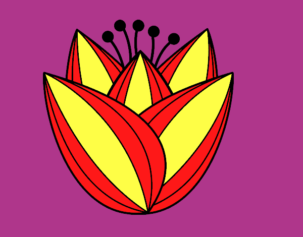 Flor de tulipán