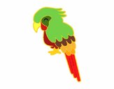 Guacamayo