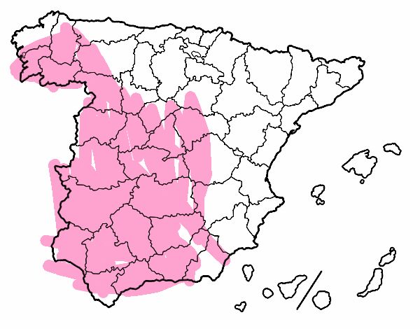 Las provincias de España