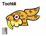 Los días aztecas: el conejo Tochtli
