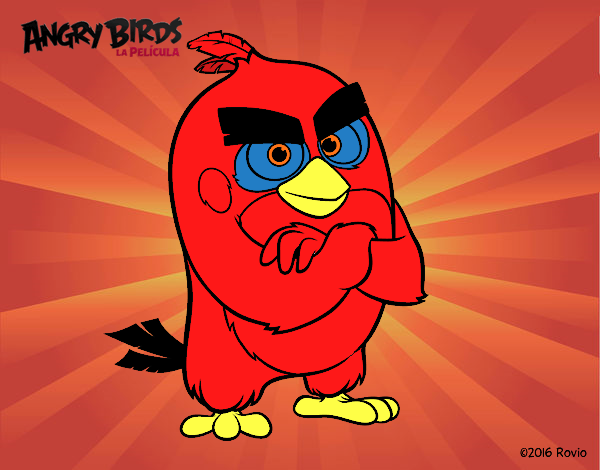 Red de Angry Birds