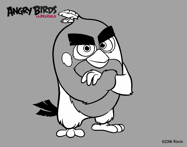 Red de Angry Birds