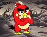 Red de Angry Birds