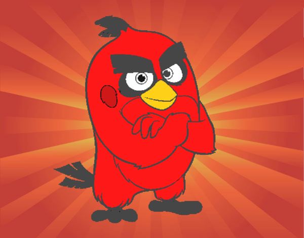 Red de Angry Birds