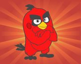 Red de Angry Birds