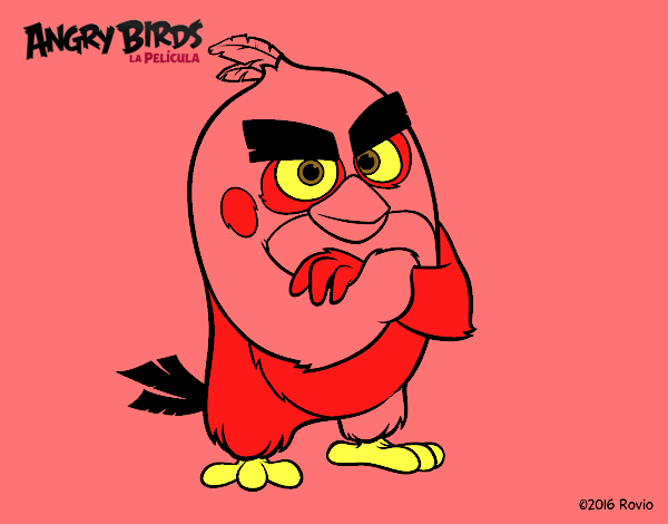 Red de Angry Birds