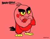 Red de Angry Birds