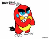 Red de Angry Birds