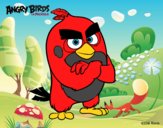 Red de Angry Birds