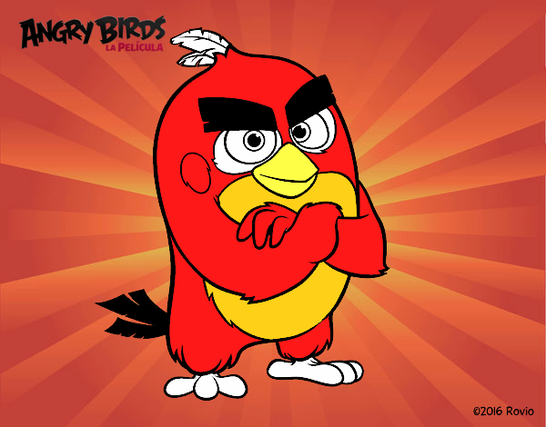 Red de Angry Birds