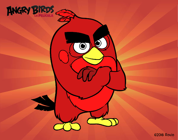 Red de Angry Birds