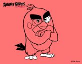 Red de Angry Birds