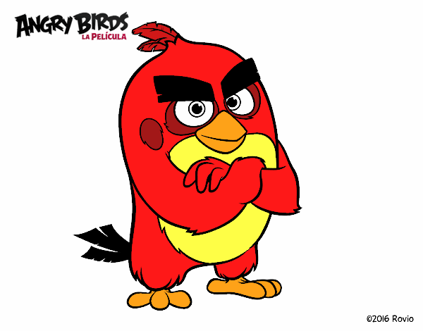 Red de Angry Birds