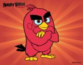 Red de Angry Birds