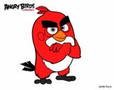 Red de Angry Birds