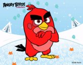 Red de Angry Birds