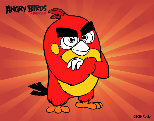 Red de Angry Birds