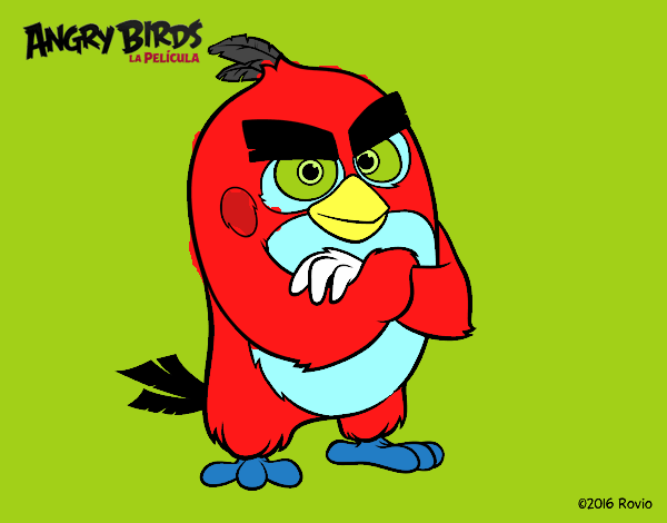 Red de Angry Birds