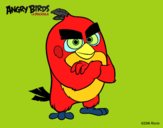 Red de Angry Birds